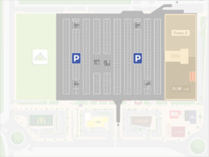 Planta -2